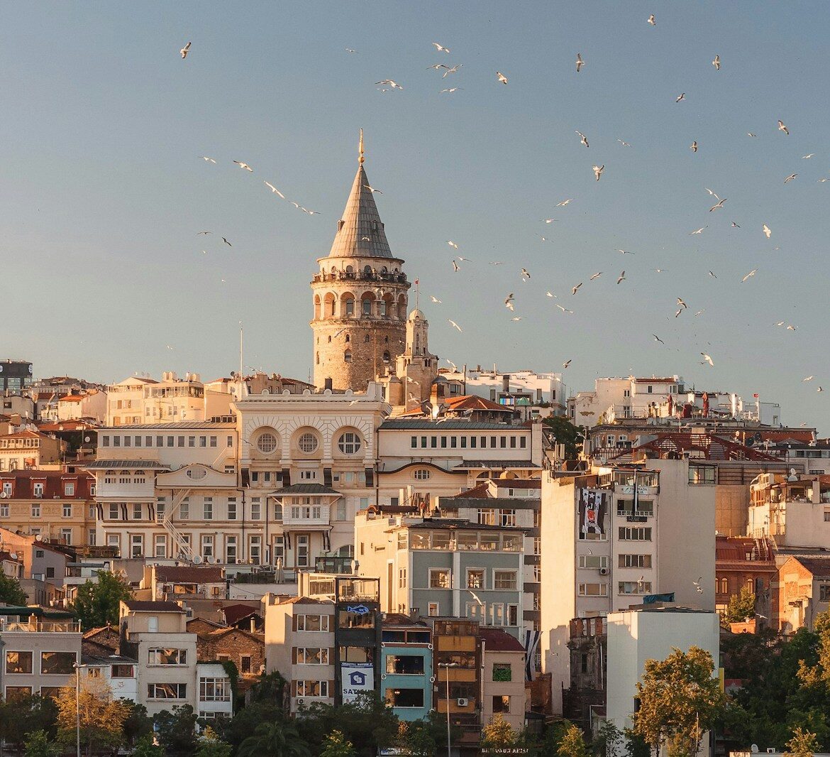 aerial view of buildings and flying birds